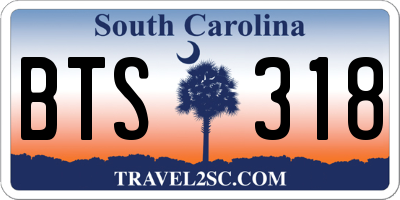SC license plate BTS318