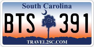 SC license plate BTS391