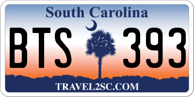 SC license plate BTS393