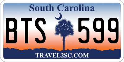 SC license plate BTS599