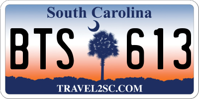 SC license plate BTS613