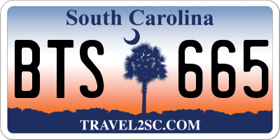 SC license plate BTS665