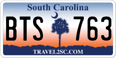 SC license plate BTS763
