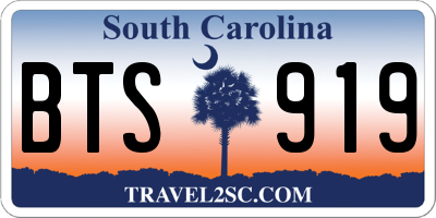 SC license plate BTS919