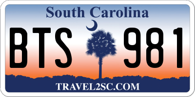 SC license plate BTS981