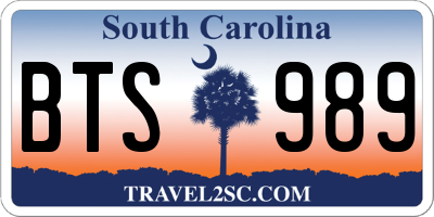SC license plate BTS989
