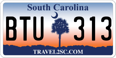 SC license plate BTU313