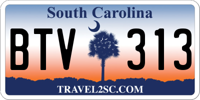 SC license plate BTV313