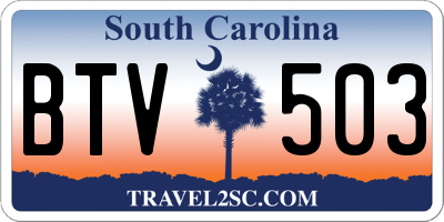 SC license plate BTV503