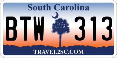 SC license plate BTW313