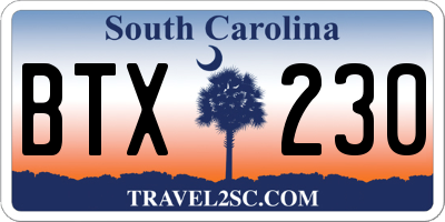 SC license plate BTX230