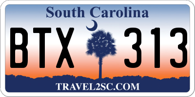 SC license plate BTX313