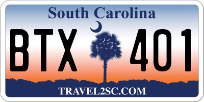 SC license plate BTX401