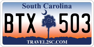 SC license plate BTX503