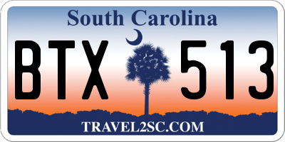 SC license plate BTX513