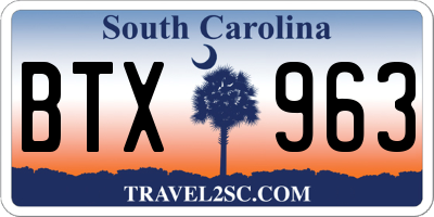 SC license plate BTX963