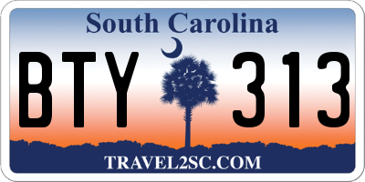 SC license plate BTY313
