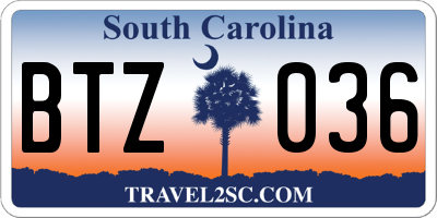 SC license plate BTZ036