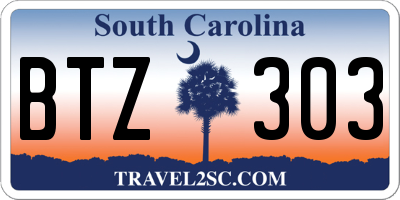 SC license plate BTZ303