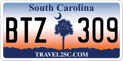 SC license plate BTZ309