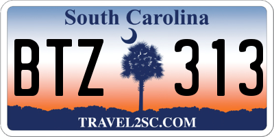 SC license plate BTZ313