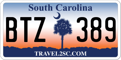 SC license plate BTZ389