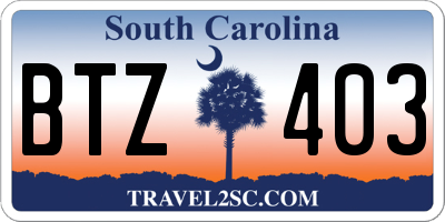 SC license plate BTZ403