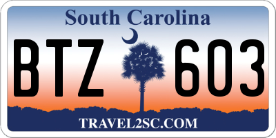 SC license plate BTZ603
