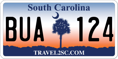 SC license plate BUA124
