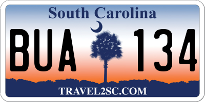 SC license plate BUA134