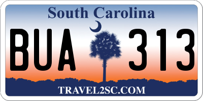 SC license plate BUA313