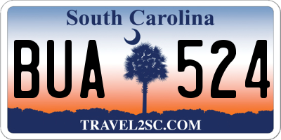 SC license plate BUA524