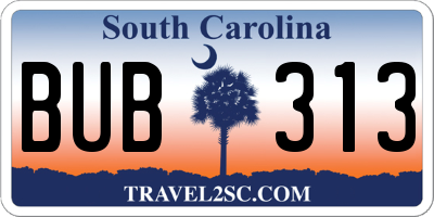 SC license plate BUB313
