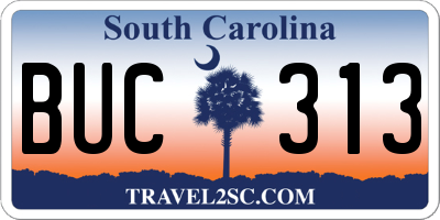 SC license plate BUC313