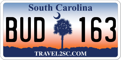 SC license plate BUD163
