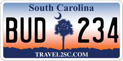 SC license plate BUD234