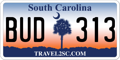 SC license plate BUD313
