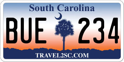 SC license plate BUE234