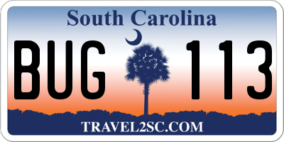 SC license plate BUG113