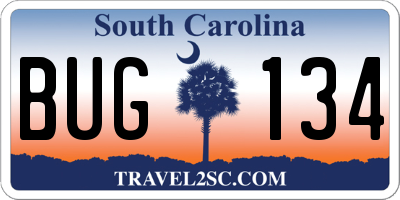 SC license plate BUG134