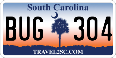 SC license plate BUG304