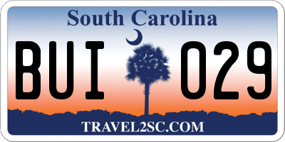 SC license plate BUI029
