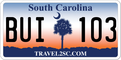 SC license plate BUI103