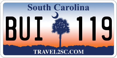 SC license plate BUI119