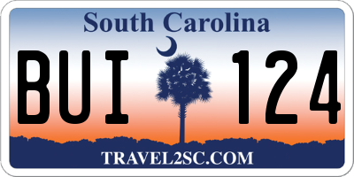 SC license plate BUI124