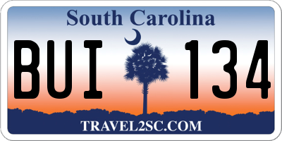 SC license plate BUI134