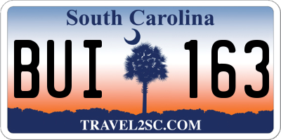SC license plate BUI163