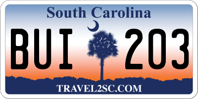 SC license plate BUI203