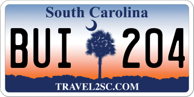 SC license plate BUI204
