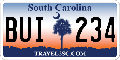 SC license plate BUI234